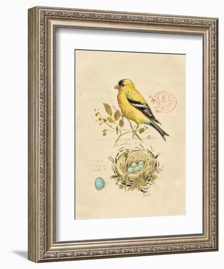 Gilded Songbird 2-Chad Barrett-Framed Art Print