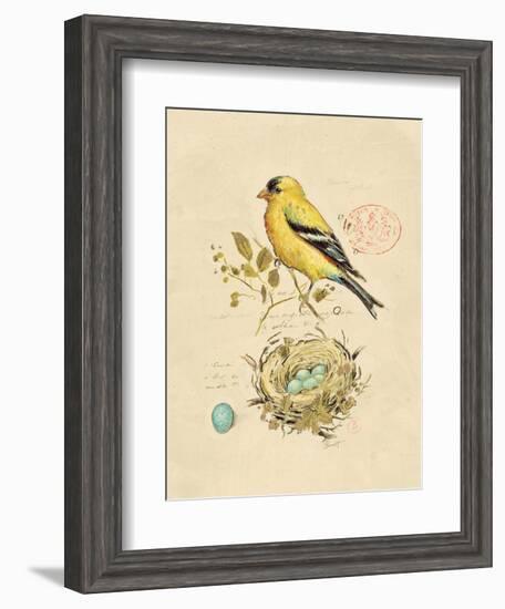 Gilded Songbird 2-Chad Barrett-Framed Art Print