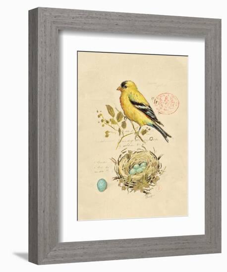 Gilded Songbird 2-Chad Barrett-Framed Art Print