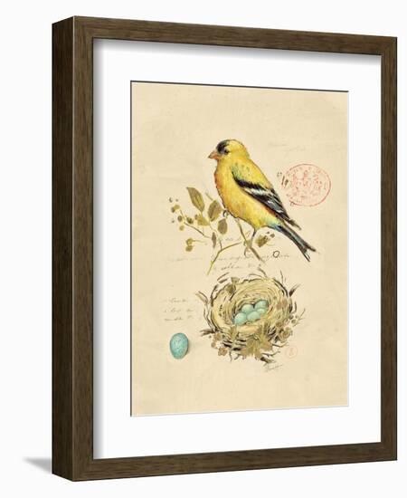 Gilded Songbird 2-Chad Barrett-Framed Art Print