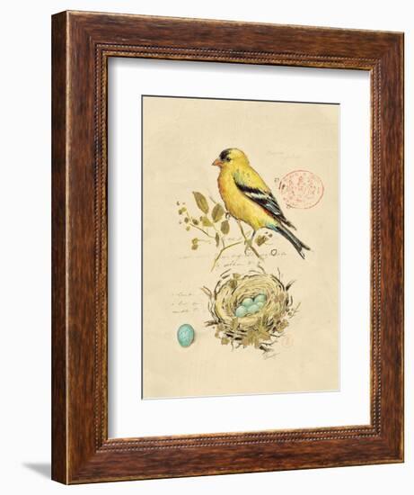 Gilded Songbird 2-Chad Barrett-Framed Art Print