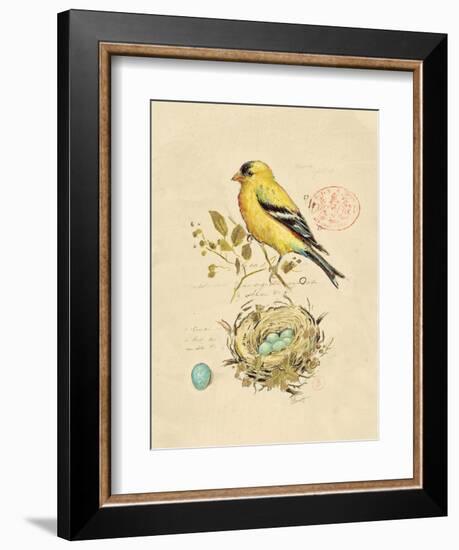 Gilded Songbird 2-Chad Barrett-Framed Art Print