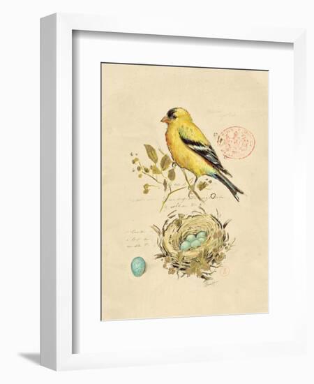 Gilded Songbird 2-Chad Barrett-Framed Art Print