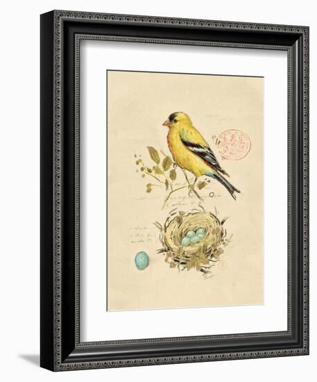 Gilded Songbird 2-Chad Barrett-Framed Art Print