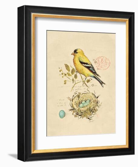 Gilded Songbird 2-Chad Barrett-Framed Art Print