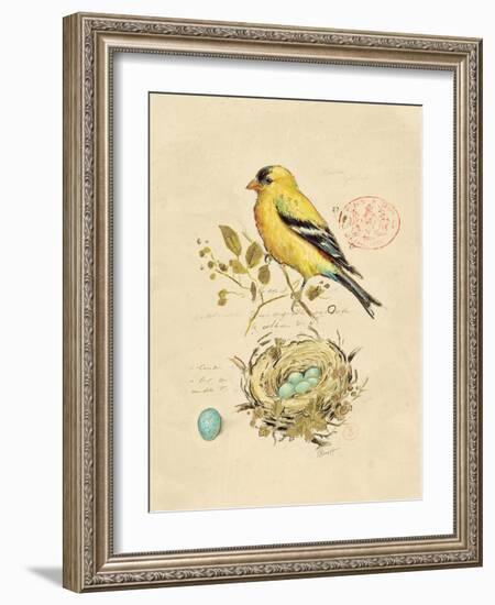 Gilded Songbird 2-Chad Barrett-Framed Art Print