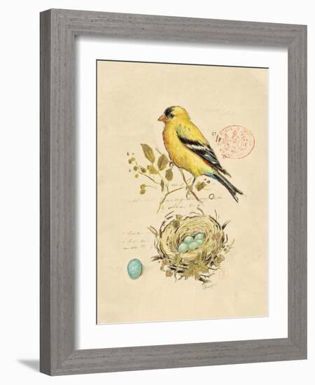 Gilded Songbird 2-Chad Barrett-Framed Art Print