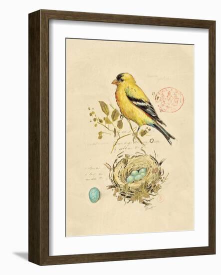 Gilded Songbird 2-Chad Barrett-Framed Art Print