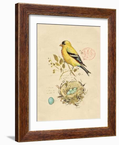 Gilded Songbird 2-Chad Barrett-Framed Art Print