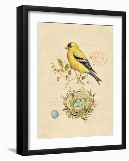 Gilded Songbird 2-Chad Barrett-Framed Art Print