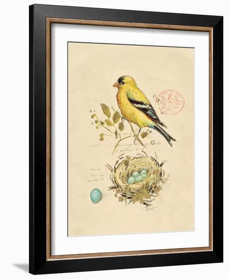 Gilded Songbird 2-Chad Barrett-Framed Art Print