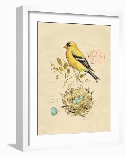 Gilded Songbird 2-Chad Barrett-Framed Art Print