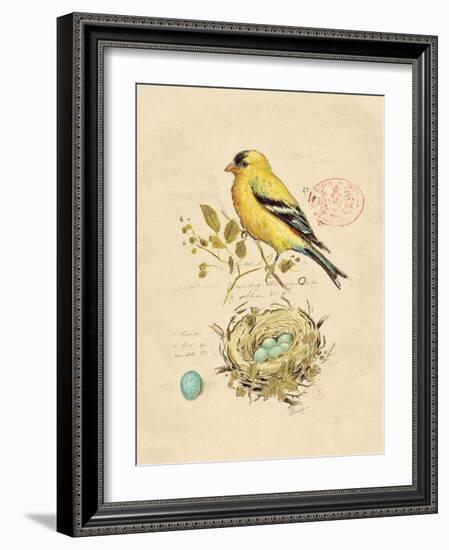 Gilded Songbird 2-Chad Barrett-Framed Art Print