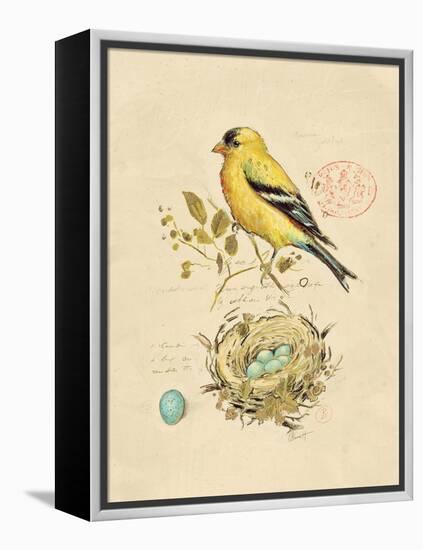 Gilded Songbird 2-Chad Barrett-Framed Stretched Canvas