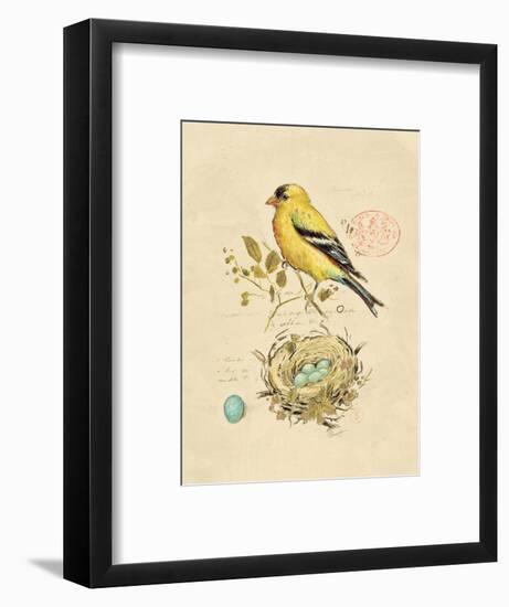 Gilded Songbird 2-Chad Barrett-Framed Premium Giclee Print