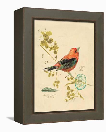 Gilded Songbird 3-Chad Barrett-Framed Stretched Canvas