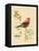 Gilded Songbird 3-Chad Barrett-Framed Stretched Canvas