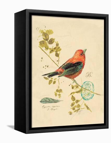 Gilded Songbird 3-Chad Barrett-Framed Stretched Canvas