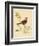 Gilded Songbird 3-Chad Barrett-Framed Art Print