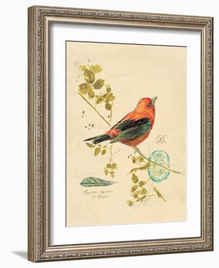 Gilded Songbird 3-Chad Barrett-Framed Art Print