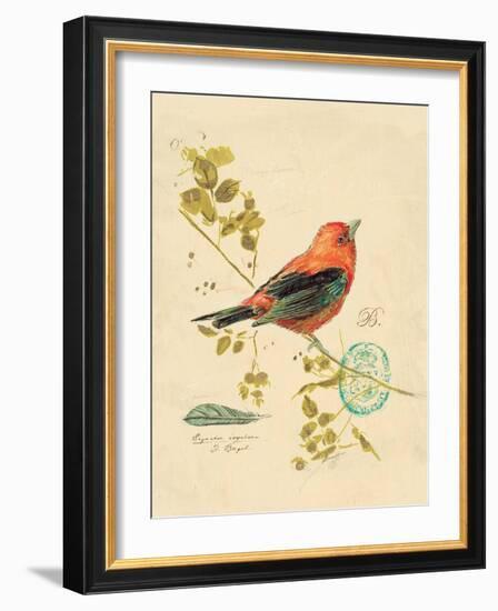 Gilded Songbird 3-Chad Barrett-Framed Art Print