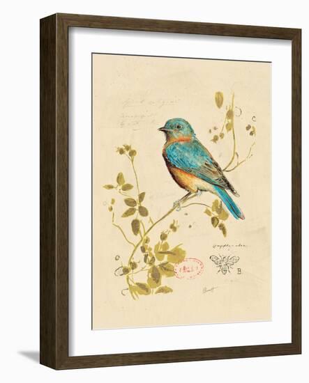 Gilded Songbird 4-Chad Barrett-Framed Art Print