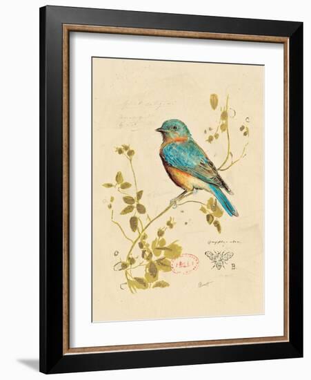 Gilded Songbird 4-Chad Barrett-Framed Art Print