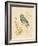 Gilded Songbird 4-Chad Barrett-Framed Art Print