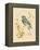 Gilded Songbird 4-Chad Barrett-Framed Stretched Canvas
