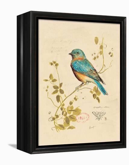 Gilded Songbird 4-Chad Barrett-Framed Stretched Canvas