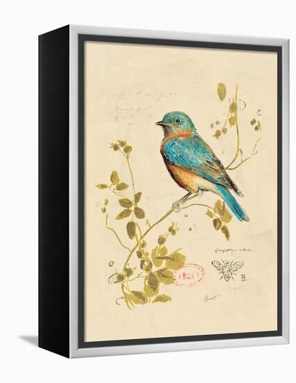 Gilded Songbird 4-Chad Barrett-Framed Stretched Canvas