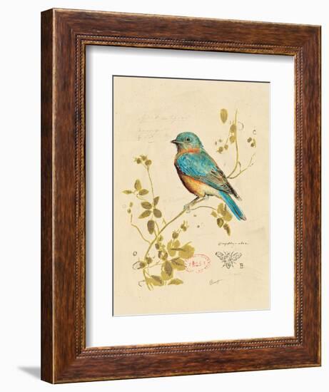 Gilded Songbird 4-Chad Barrett-Framed Art Print