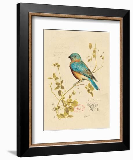 Gilded Songbird 4-Chad Barrett-Framed Art Print