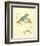 Gilded Songbird I-Chad Barrett-Framed Art Print