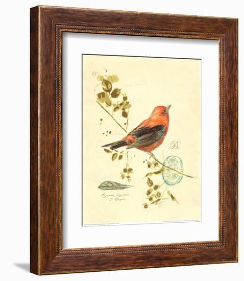 Gilded Songbird III-Chad Barrett-Framed Art Print