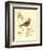 Gilded Songbird III-Chad Barrett-Framed Art Print