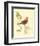 Gilded Songbird III-Chad Barrett-Framed Art Print