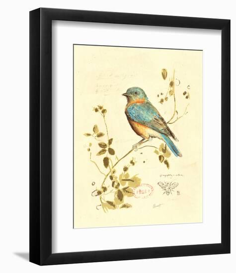Gilded Songbird IV-Chad Barrett-Framed Art Print