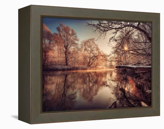 Gilding-Philippe Sainte-Laudy-Framed Premier Image Canvas