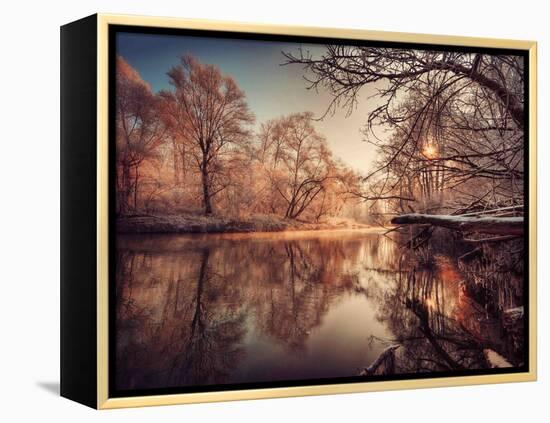 Gilding-Philippe Sainte-Laudy-Framed Premier Image Canvas