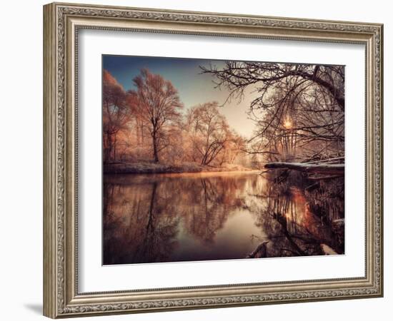 Gilding-Philippe Sainte-Laudy-Framed Photographic Print