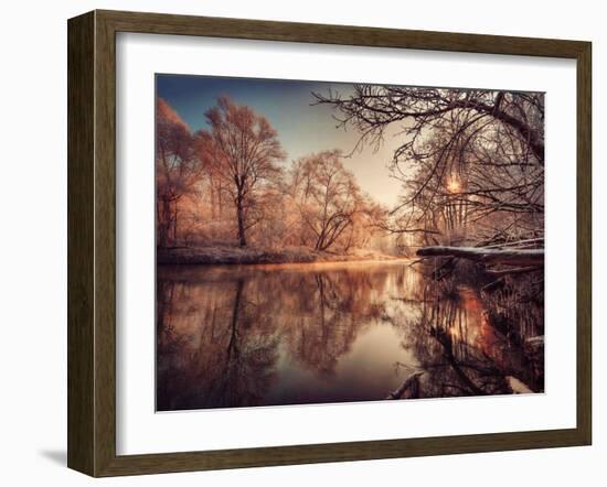 Gilding-Philippe Sainte-Laudy-Framed Photographic Print