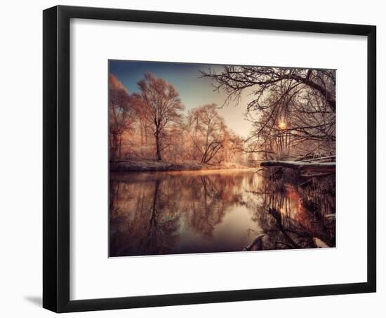 Gilding-Philippe Sainte-Laudy-Framed Photographic Print