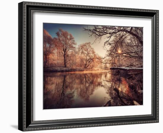 Gilding-Philippe Sainte-Laudy-Framed Photographic Print