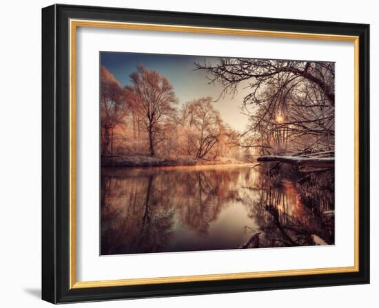 Gilding-Philippe Sainte-Laudy-Framed Photographic Print