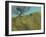 Gilfach Hawthorn-Paul Bailey-Framed Art Print