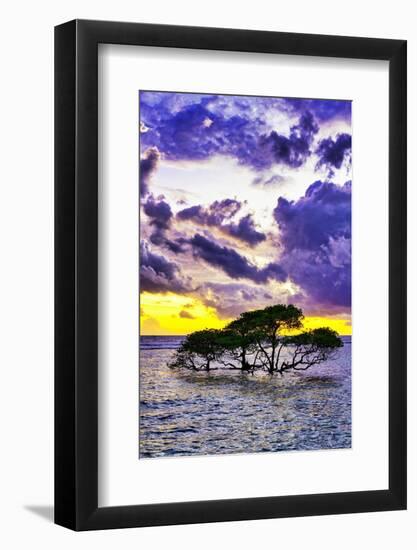 Gili Trawangan Island off the coast of Lombok, Indonesia. White sand, clear warm water.-Greg Johnston-Framed Photographic Print