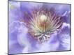 Premium Photographic Print