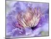 Premium Photographic Print