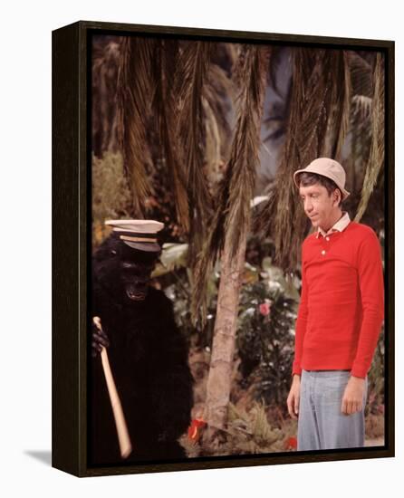 Gilligan's Island-null-Framed Stretched Canvas